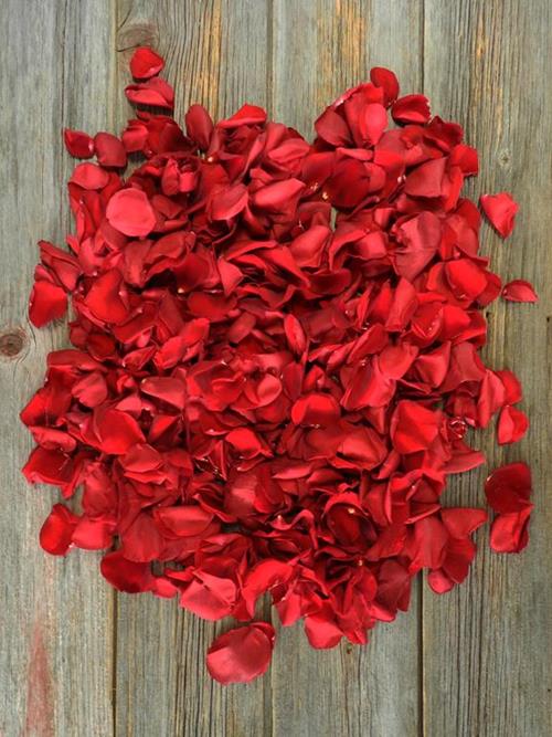 360 GRAMS RED ROSE PETALS